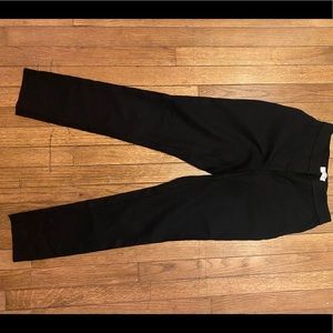Aritzia Babaton DRESS Pants